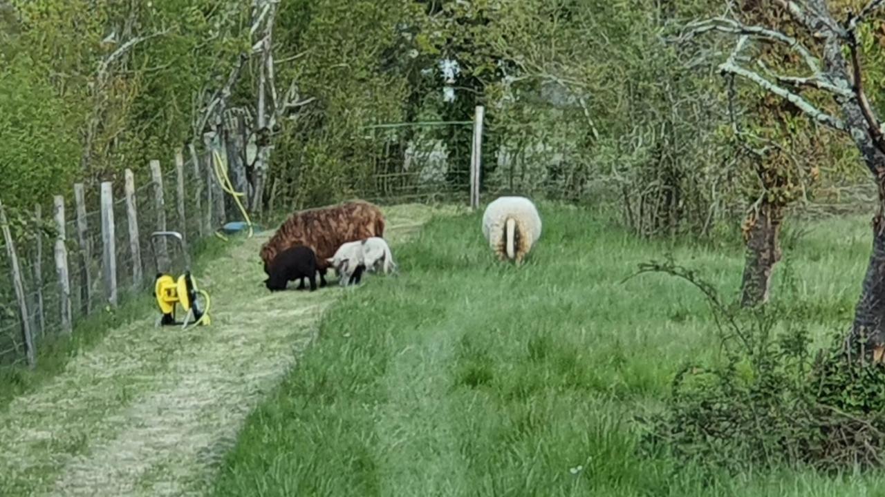 Grande maison avec jardin, animaux,au calme Yviers Extérieur photo